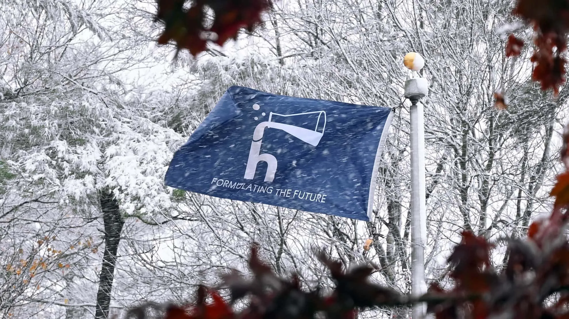 Hapco-Inc-Flag-Snowing-bg